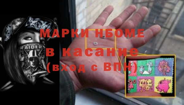 шишки Осинники