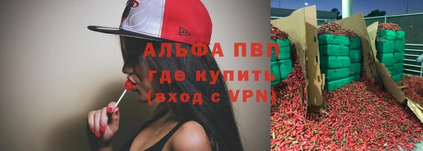 тгк Пестово