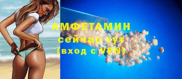 шишки Осинники