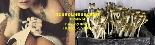 крисы Осташков