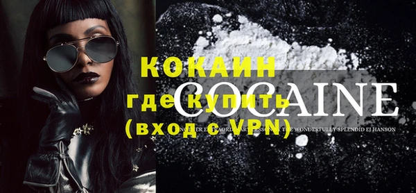 шишки Осинники