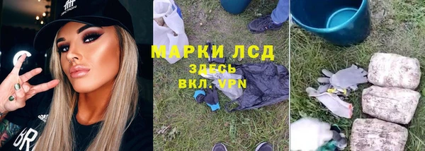 крисы Осташков