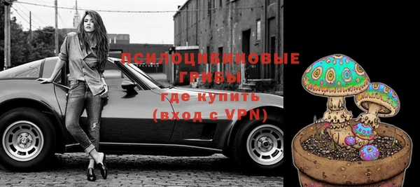 шишки Осинники