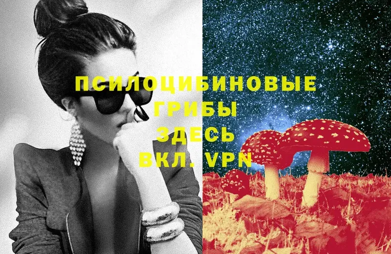 Галлюциногенные грибы Psilocybine cubensis  Ливны 