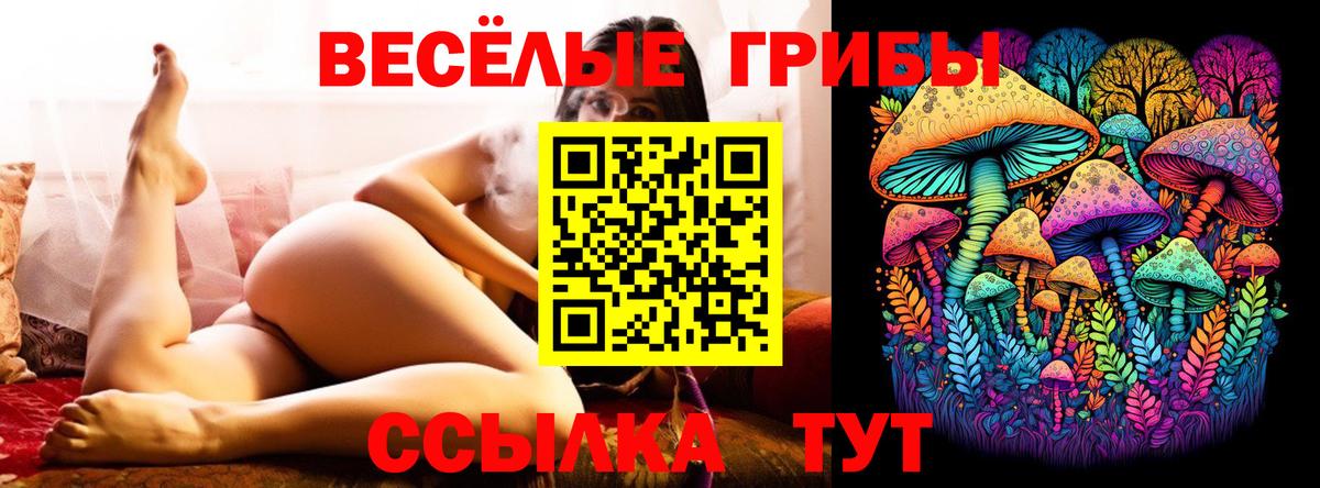 Псилоцибиновые грибы Cubensis Ливны