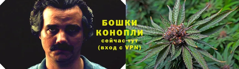 Бошки марихуана LSD WEED  KRAKEN маркетплейс  Ливны 